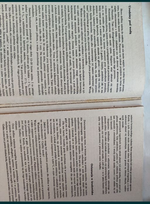 Sekrety delfinów Jadwiga Wernerowa