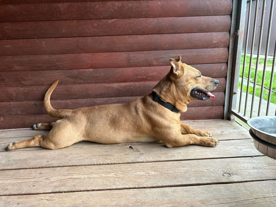 Marzy tylko o jednym – o wolności, miłości i człowieku, który go zrozu