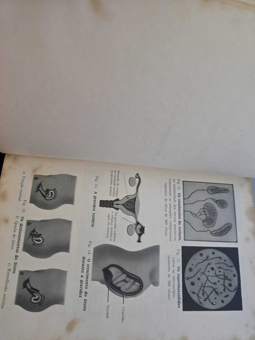 Nossa Vida Sexual - Fritz Kahn