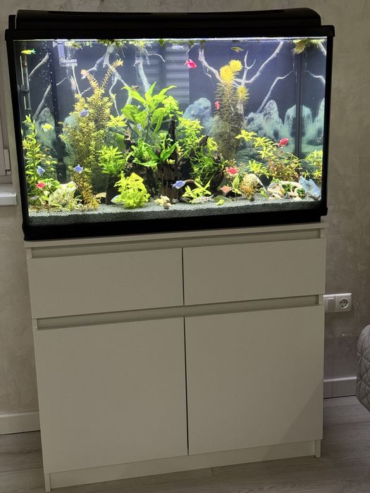 Аквариум 240л ,тумба,фильтр и т.д