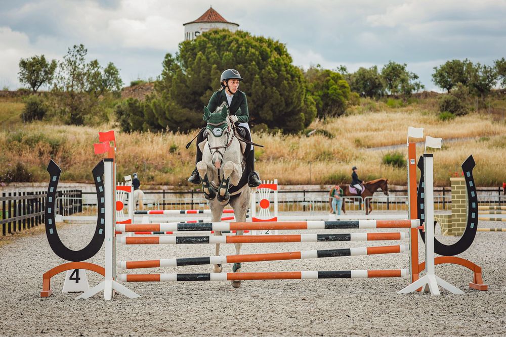 Cavalo castrado 7anos