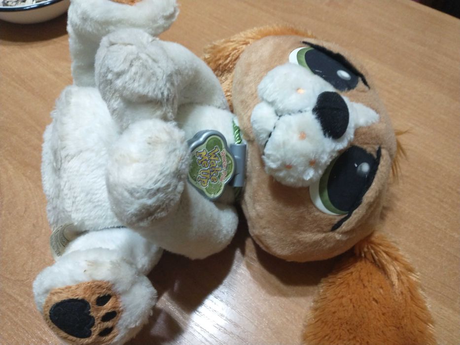 Pieska, Oddam za darmo