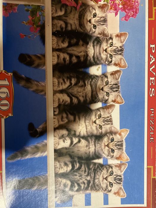 Пазлы с котятами на 160 элементов