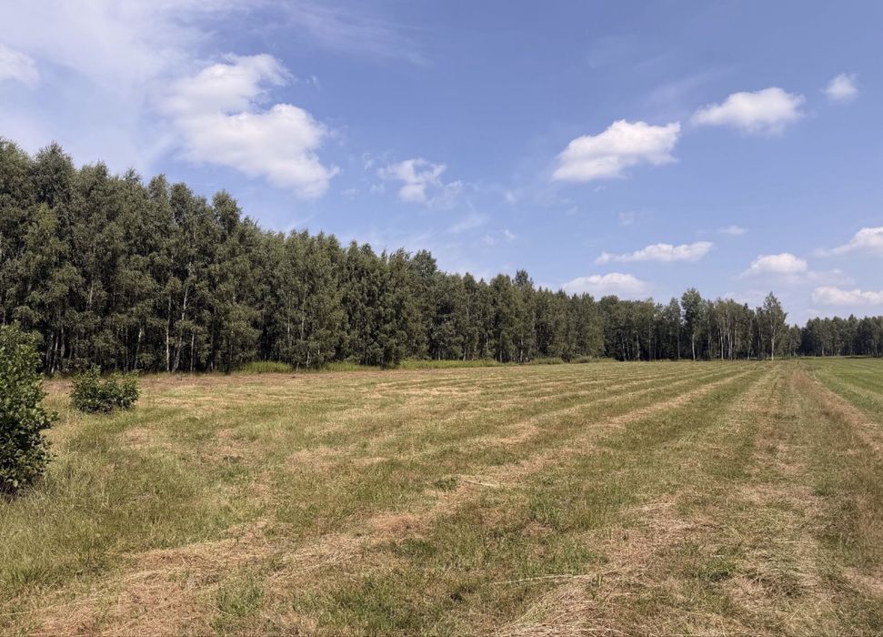 Piękna, duża działka obok Mińska Mazowieckiego - Więcej