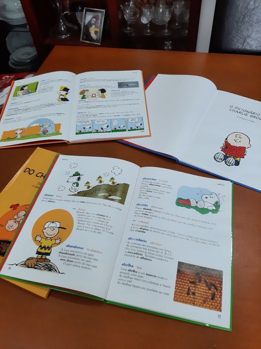 O dicionario do charlie broWn