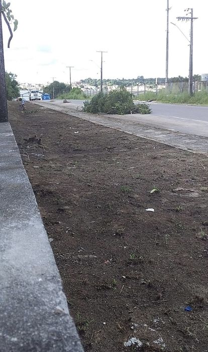 Limpeza de terrenos