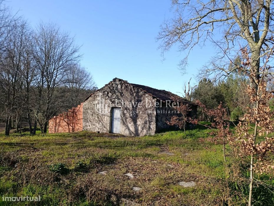 Terreno  Venda em Couto de Baixo e Couto de Cima,Viseu