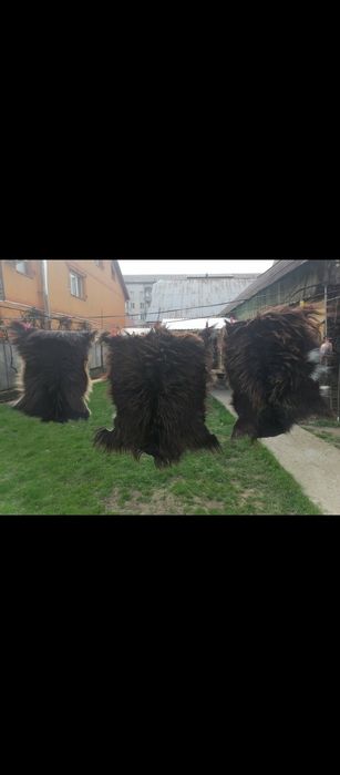 Овечі і козині шикарні накидки