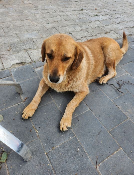 Nora szuka dalej swojej miłości.