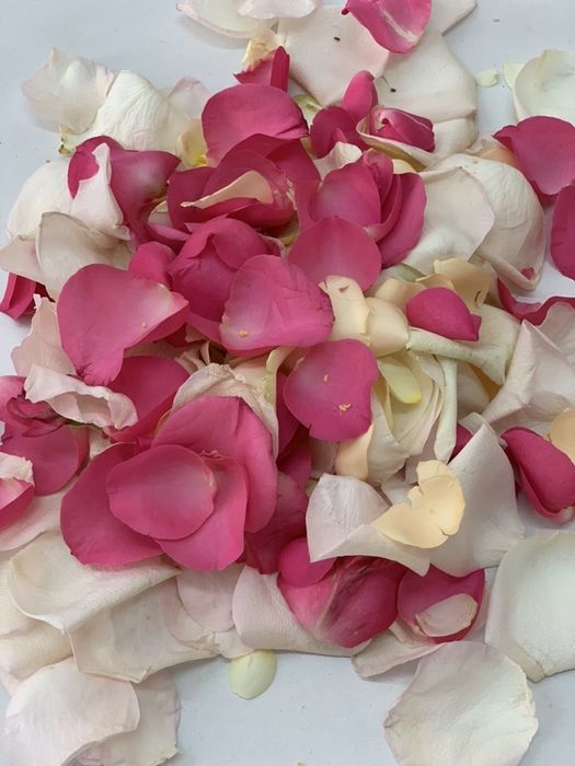 Пелюстки троянд (свіжої троянди)