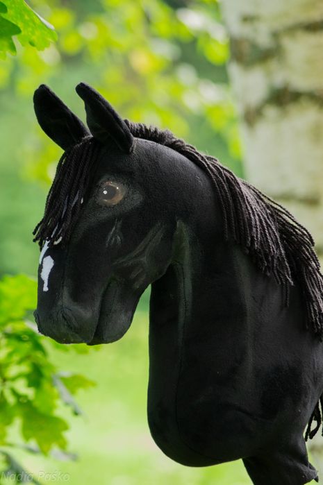 konik hobby horse
