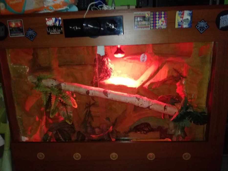 Terrarium