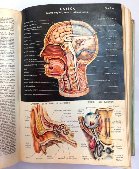 Dicionário Prático Ilustrado Lello de Jaime de Séguier