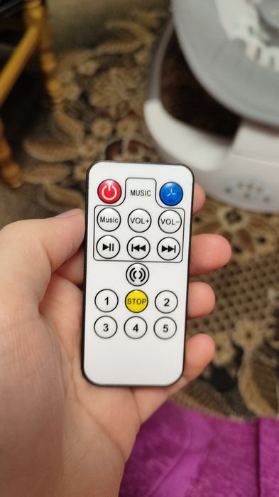 Заколисуючій центр