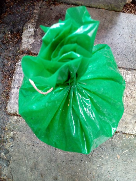 Obornik przepiórczy (najmocniejszy) 8-10 razy mocniejszy od końskiego