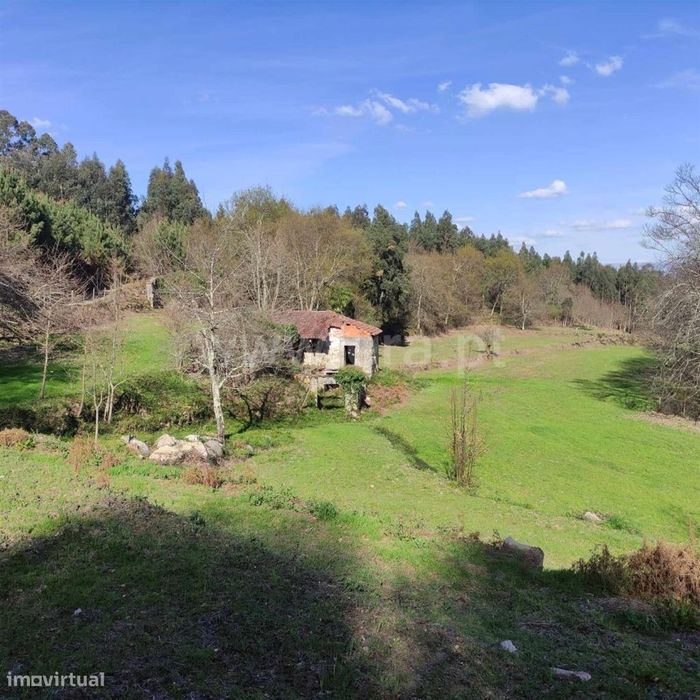 Quinta em Arnóia - Celorico de Basto