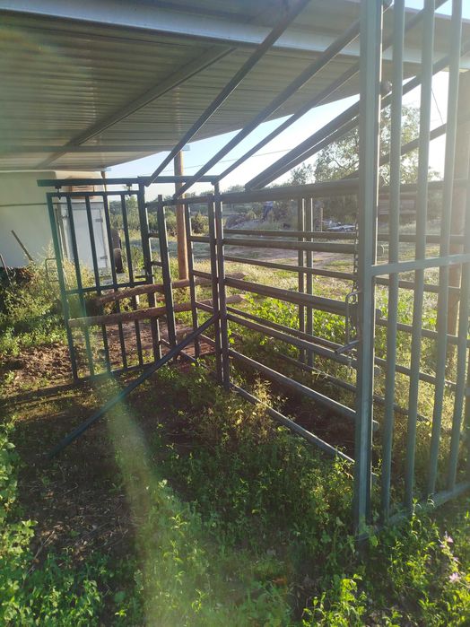 Manga vacas ou cavalos