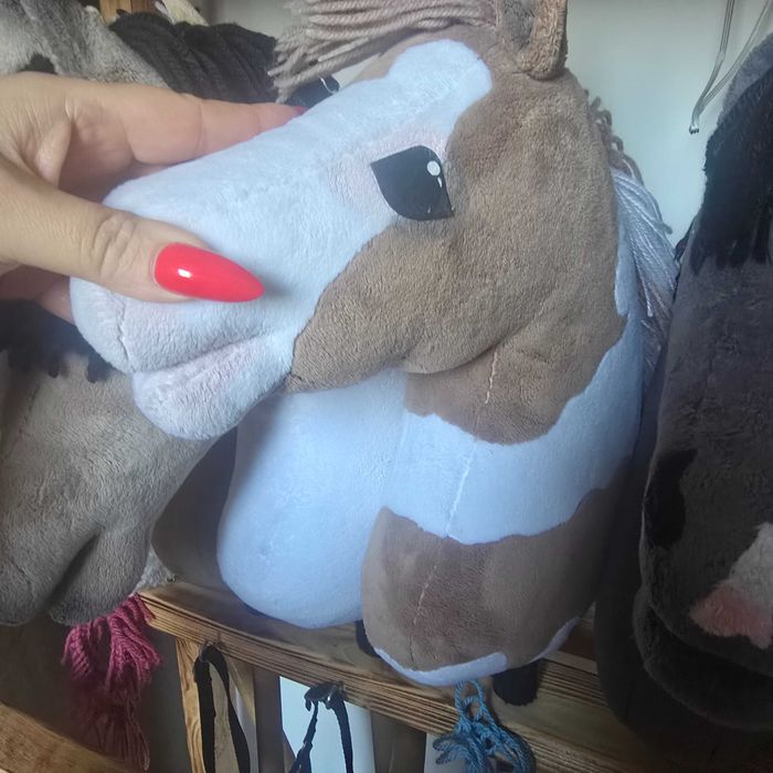 Hobby horse plus stajnia