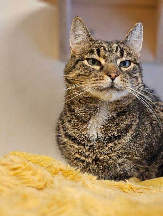 Filipinka wypatruje domku