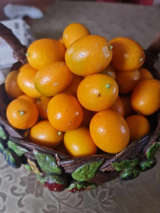 Kumquats Biológicos