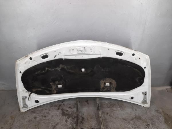 Capot RENAULT Clio III (BR0/1, CR0/1)