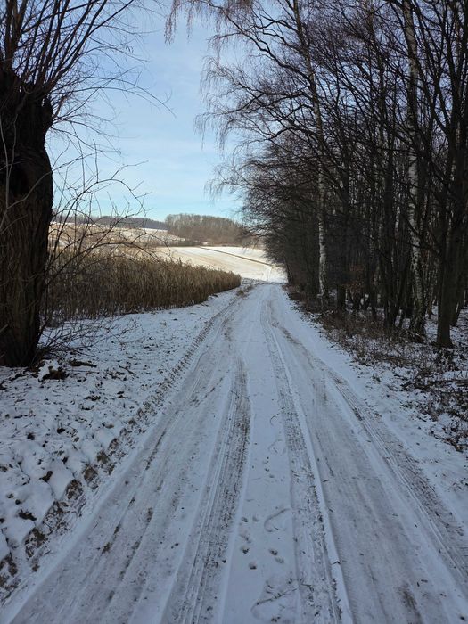 Sprzedam działkę 64,5 ara w Rawalowicach