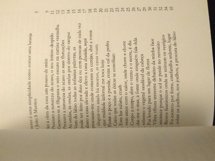 Raro - José Gil - Crash - Poesia