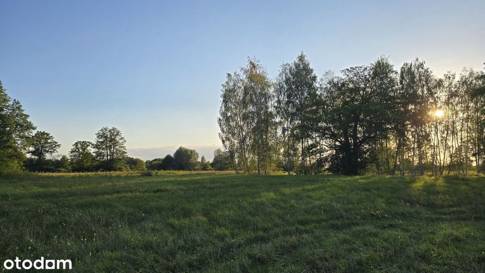 Doskonała propozycja dla Inwestorów