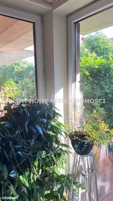 Apartament z garażem oraz biurem z ogródkiem