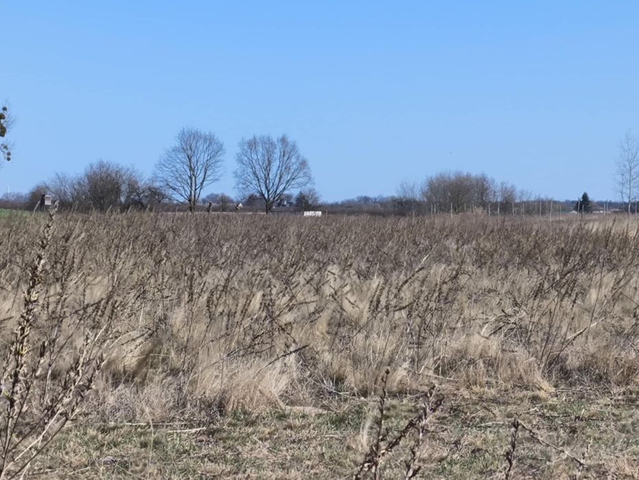 Sprzedaż Działek w Niesiegniewie, Kujawsko-Pomorskie