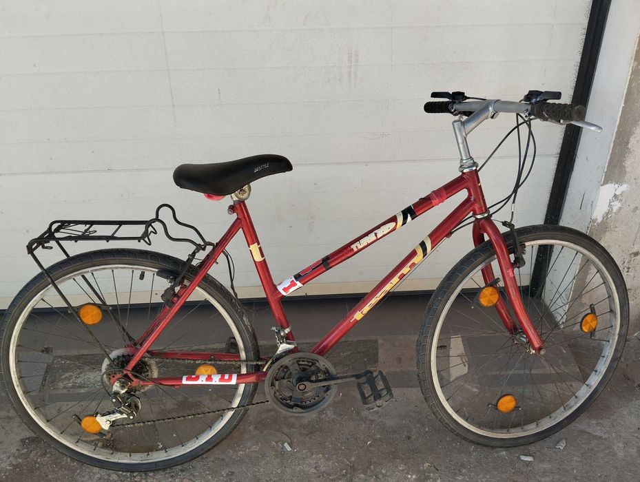 Bicicleta Team Nature 100.