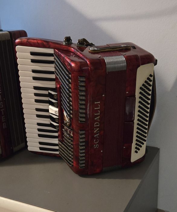 Akordeon scandalli 80