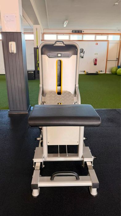 Máquina Glute Raiser