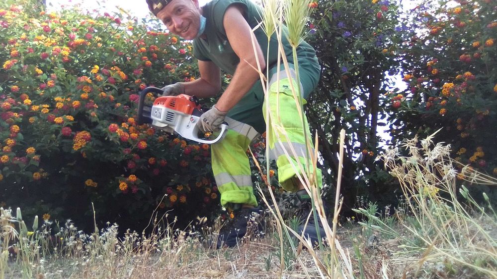 Jardineiro para serviços