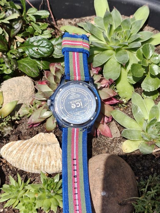 Zegarek ice Watch Diver