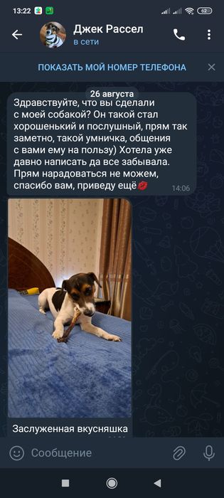 Дрессировка собак,Передержка собак ВЯЗКА собак.