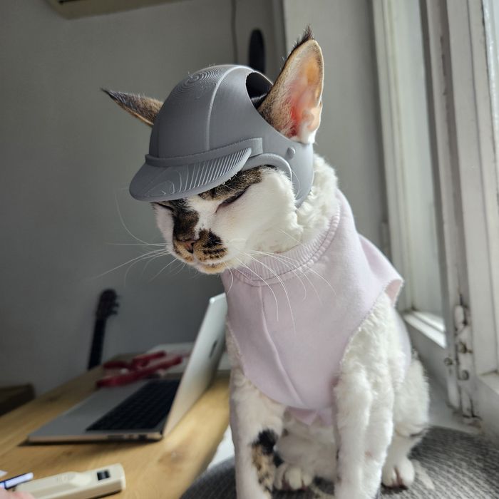 Шапка / шлем / каска для кота / котенка