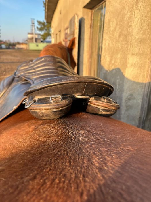 Siodło Goertz Champion