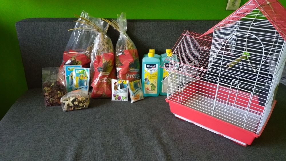 Woliera, klatka dla małych papug, ptaków