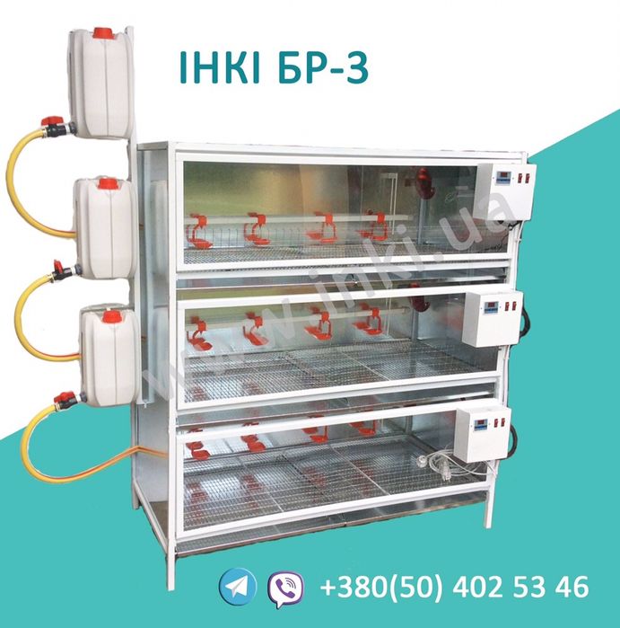 Брудер клетка для цыплят бройлера, кур несушки, перепелов. Разборной