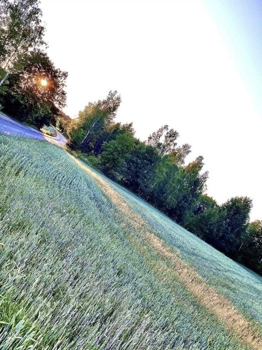 Działka na Kaszubach