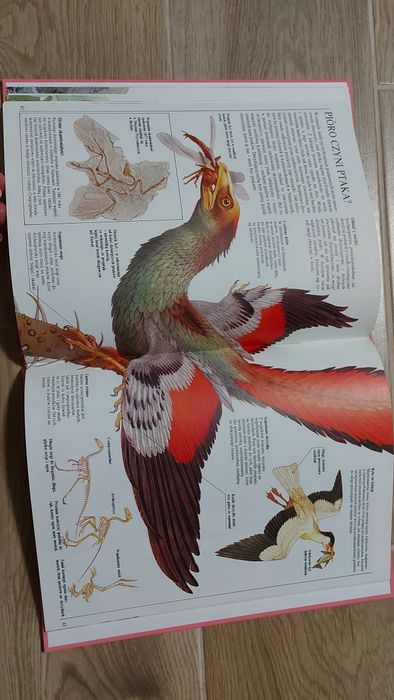 Świat wczoraj I dziś. Życie prehistoryczne