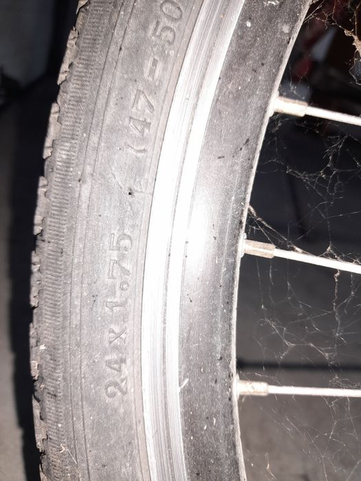 Rower dla dziewczynki campus 24"