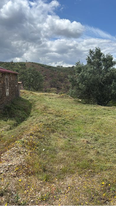 Limpeza de terrenos/quintais