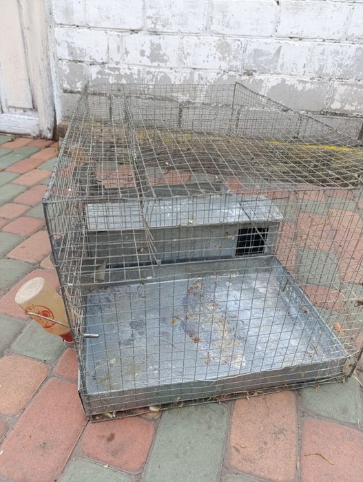 Клітка для гризунів білка дегу, кролики, хом'як, шиншила