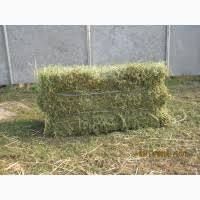 Сіно якісне зібране в суху погоду.