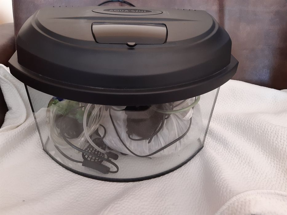 Akwarium i akcesoria