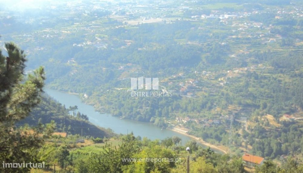 Venda Terreno, Tarouquela, Cinfães — Tarouquela, Viseu