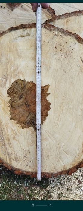 Plastry drewna, blat,stolik