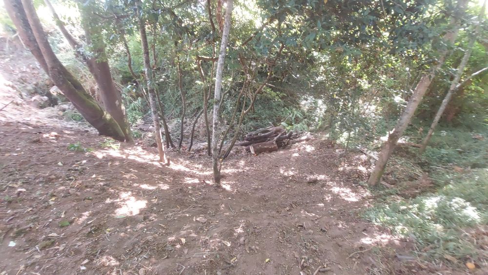 Terreno com casa em ruinas